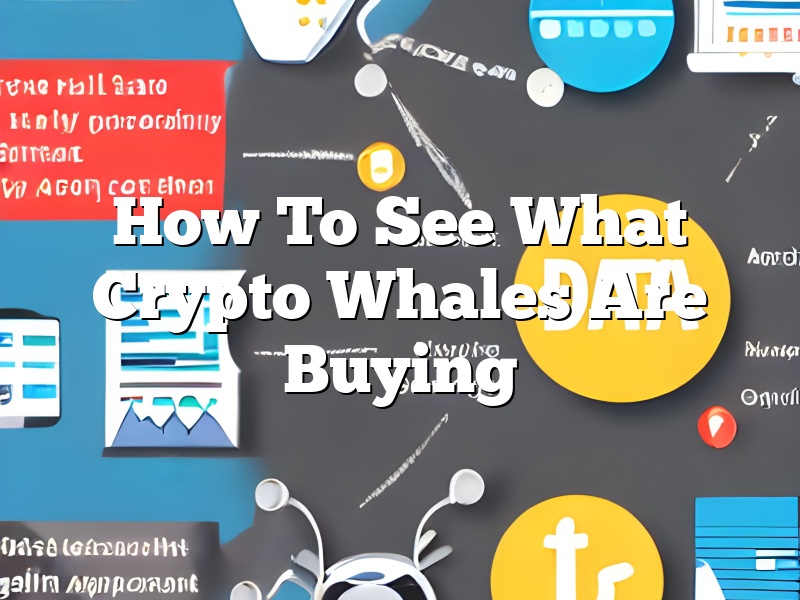 How To See What Crypto Whales Are Buying
