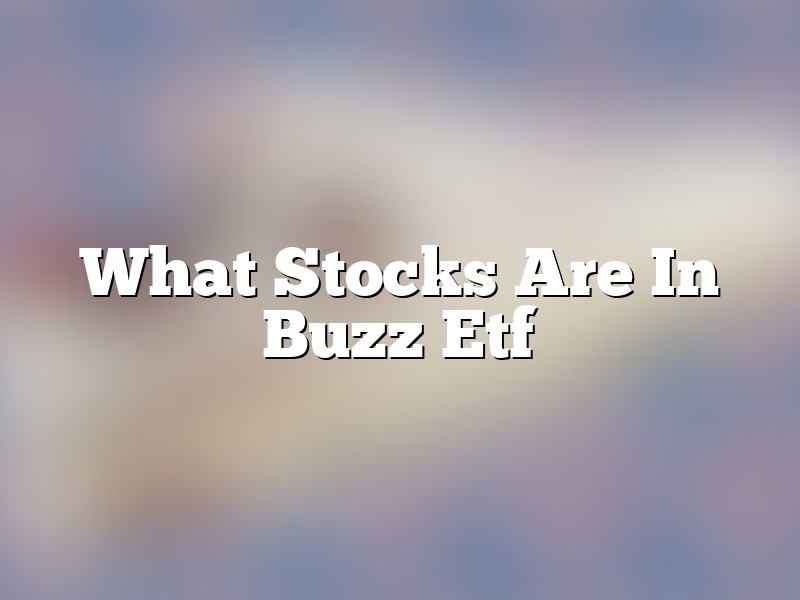 What Stocks Are In Buzz Etf