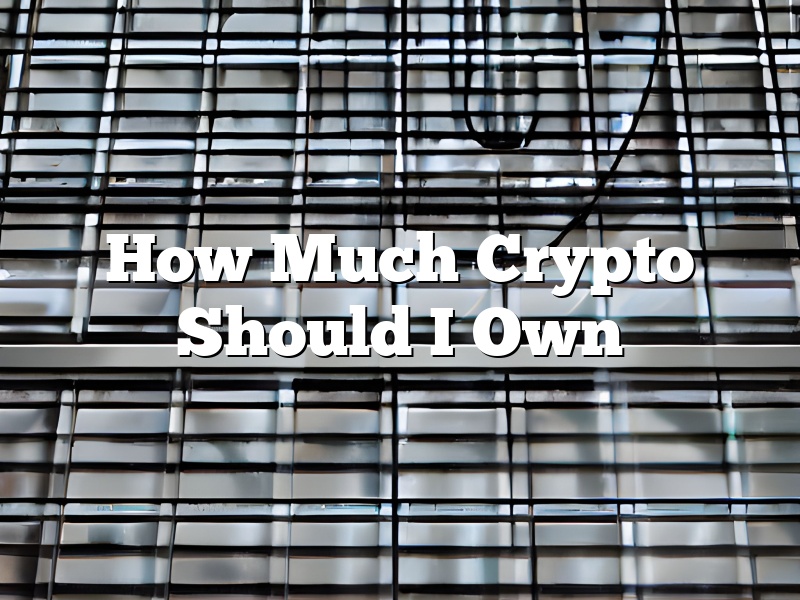 How Much Crypto Should I Own