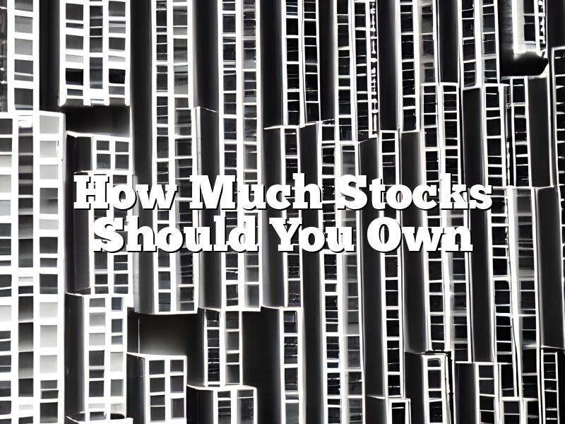 How Much Stocks Should You Own