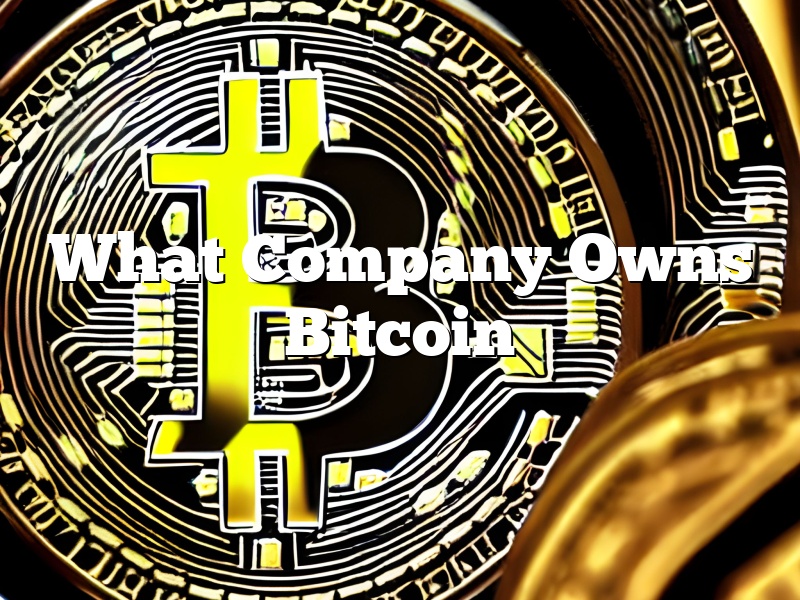 What Company Owns Bitcoin