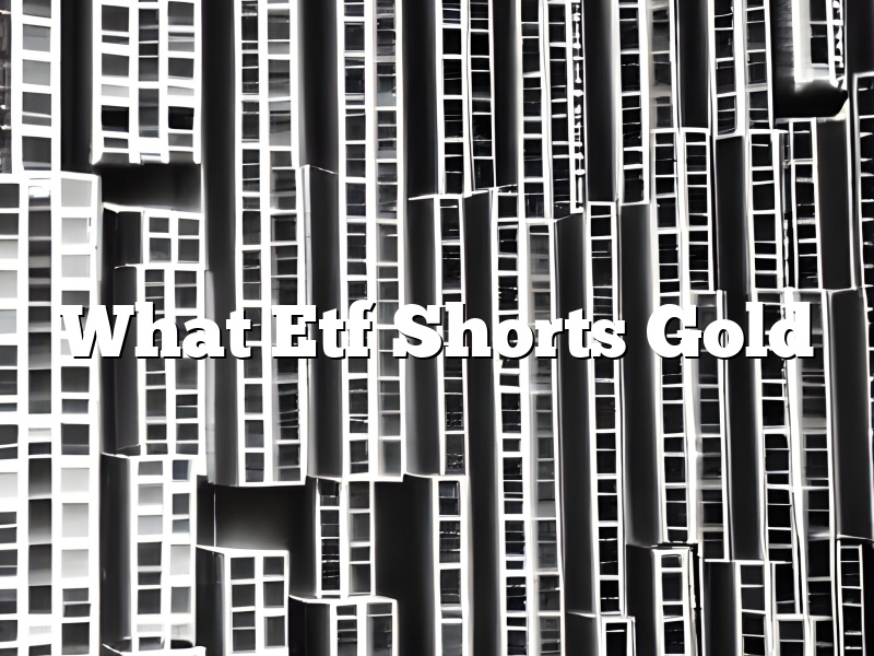 What Etf Shorts Gold