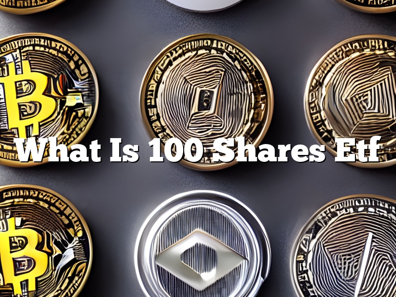 What Is 100 Shares Etf