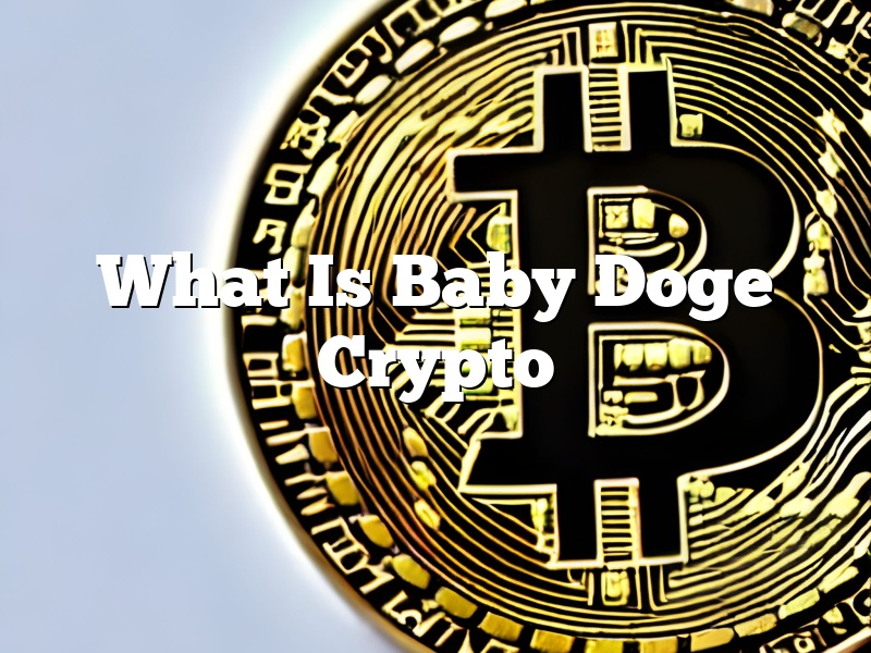 What Is Baby Doge Crypto