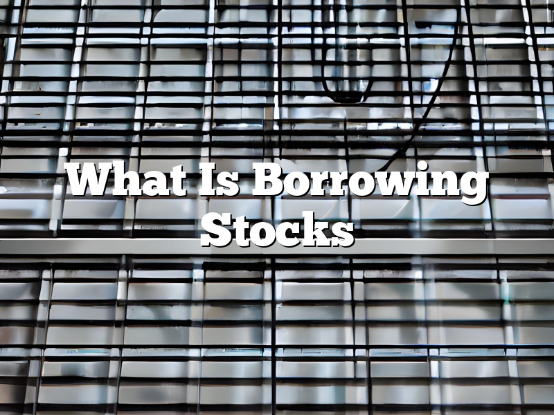 What Is Borrowing Stocks