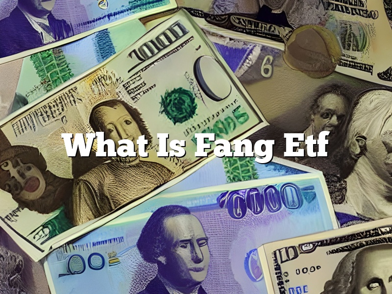 What Is Fang Etf