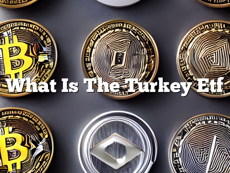 What Is The Turkey Etf