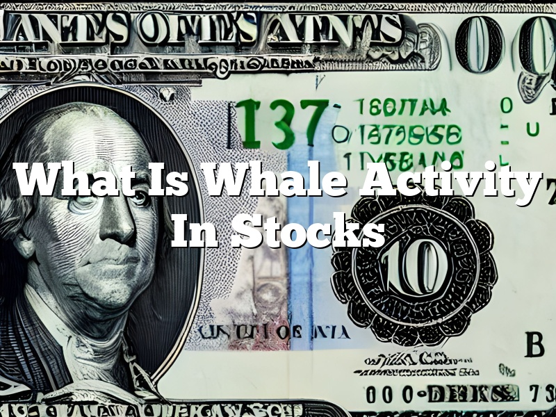 What Is Whale Activity In Stocks
