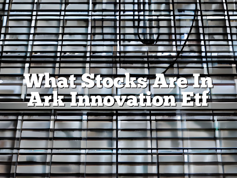 What Stocks Are In Ark Innovation Etf