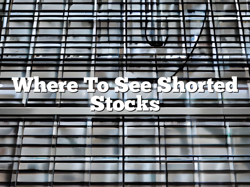 Where To See Shorted Stocks