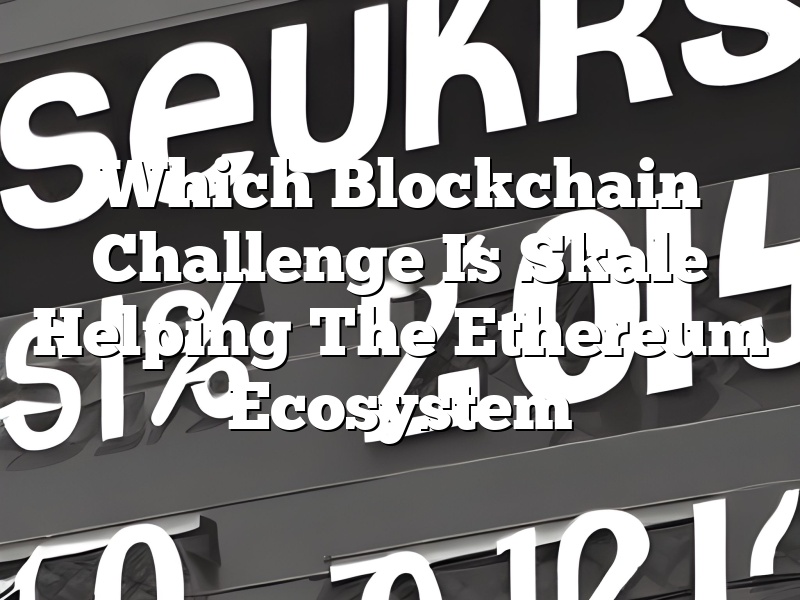Which Blockchain Challenge Is Skale Helping The Ethereum Ecosystem