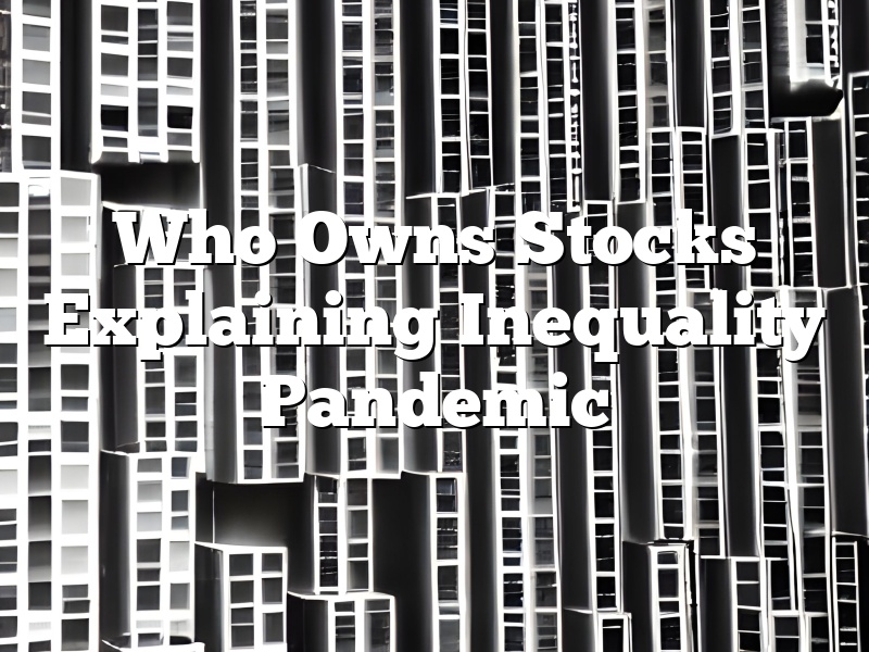 Who Owns Stocks Explaining Inequality Pandemic