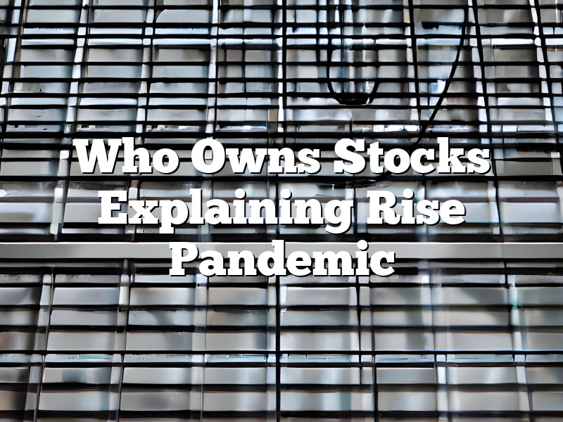 Who Owns Stocks Explaining Rise Pandemic