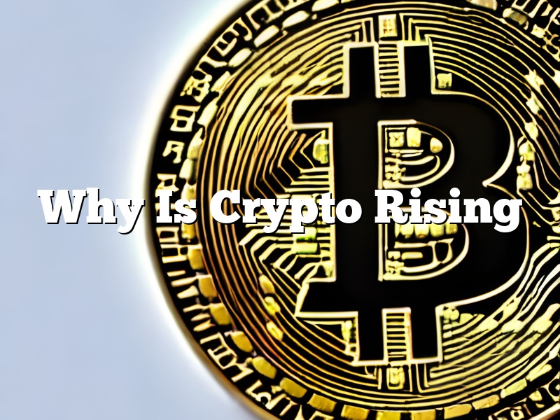 Why Is Crypto Rising
