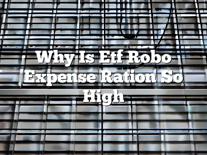 Why Is Etf Robo Expense Ration So High