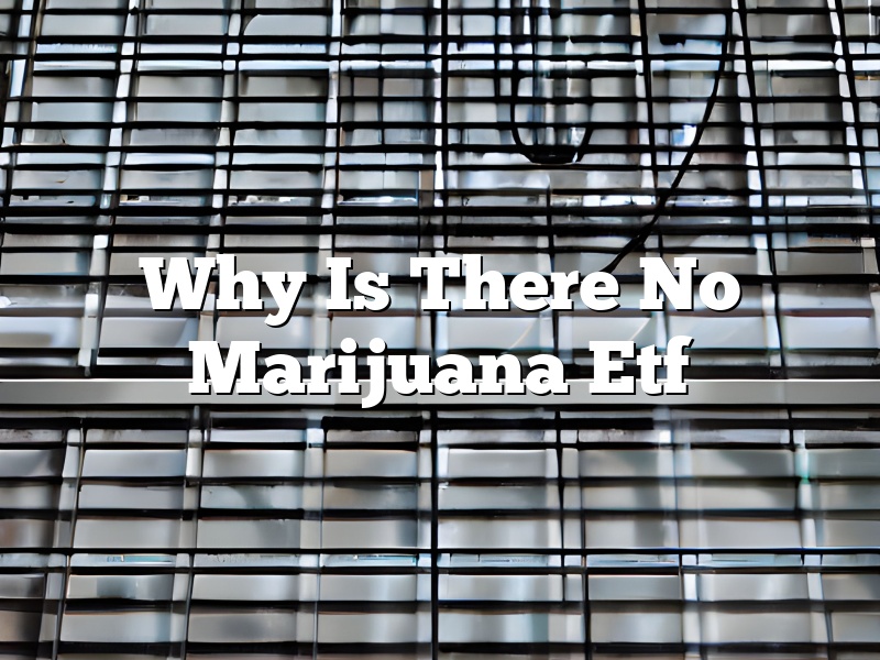 Why Is There No Marijuana Etf