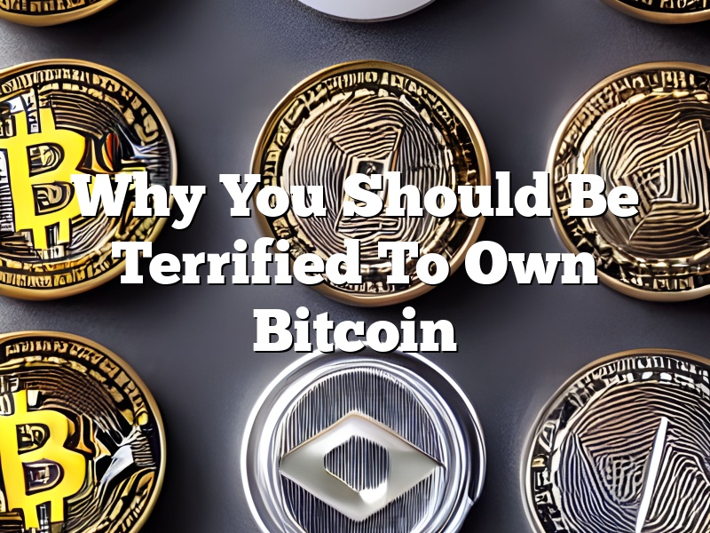 Why You Should Be Terrified To Own Bitcoin