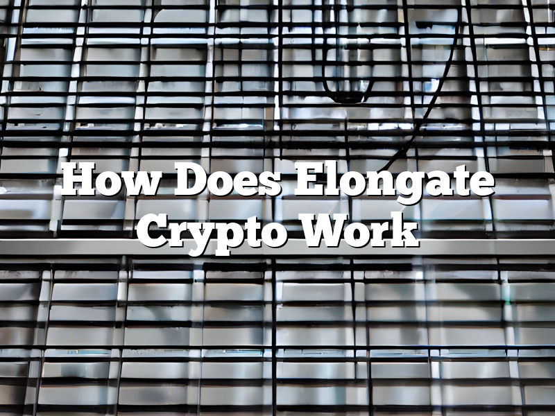 How Does Elongate Crypto Work