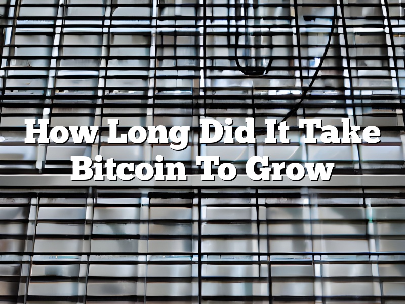 How Long Did It Take Bitcoin To Grow