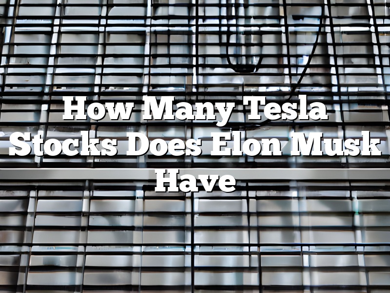 How Many Tesla Stocks Does Elon Musk Have