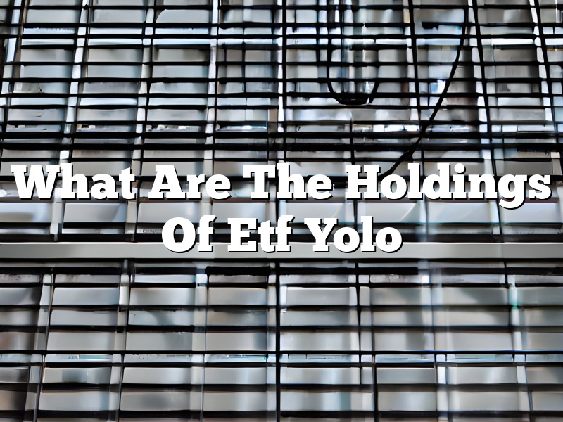 What Are The Holdings Of Etf Yolo