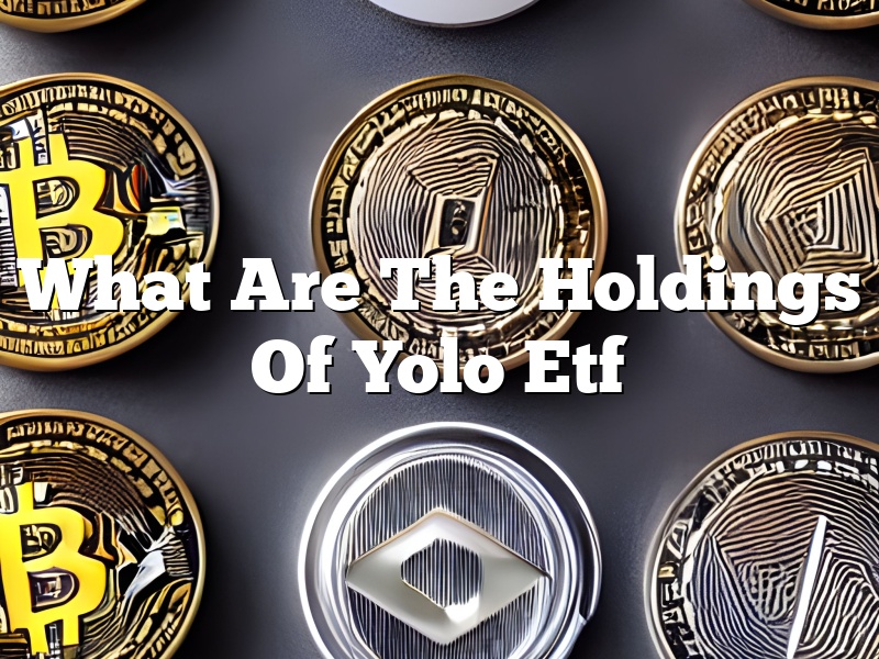 What Are The Holdings Of Yolo Etf