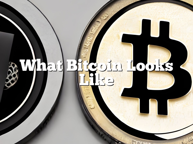 What Bitcoin Looks Like