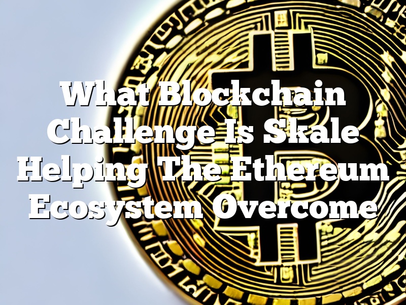 What Blockchain Challenge Is Skale Helping The Ethereum Ecosystem Overcome
