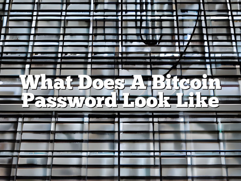 What Does A Bitcoin Password Look Like