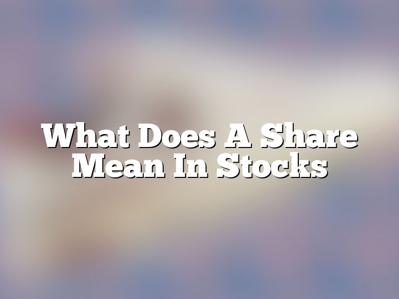 What Does A Share Mean In Stocks