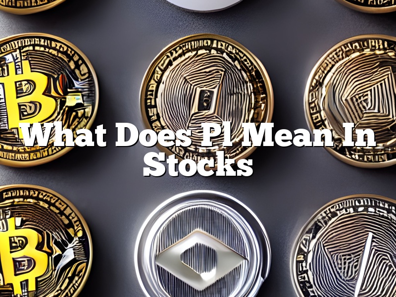 What Does Pl Mean In Stocks