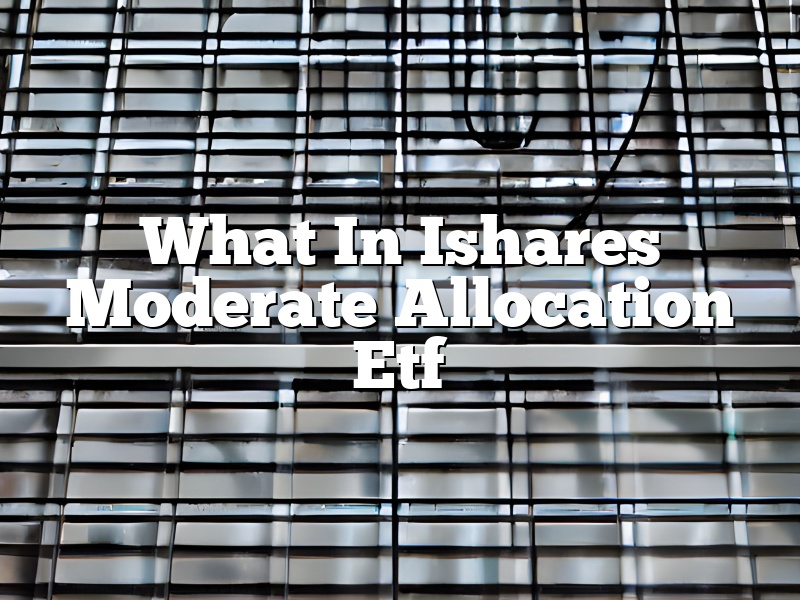 What In Ishares Moderate Allocation Etf