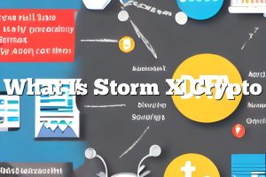 What Is Storm X Crypto
