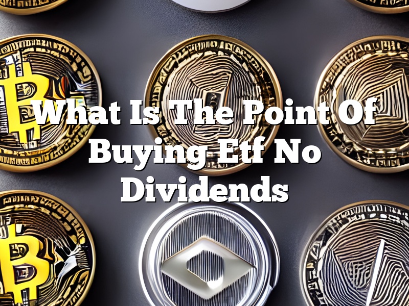 What Is The Point Of Buying Etf No Dividends