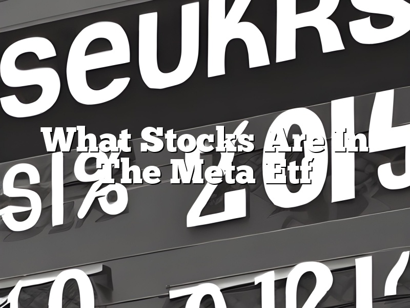 What Stocks Are In The Meta Etf