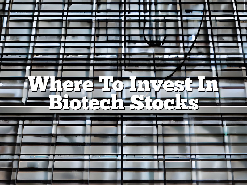 Where To Invest In Biotech Stocks
