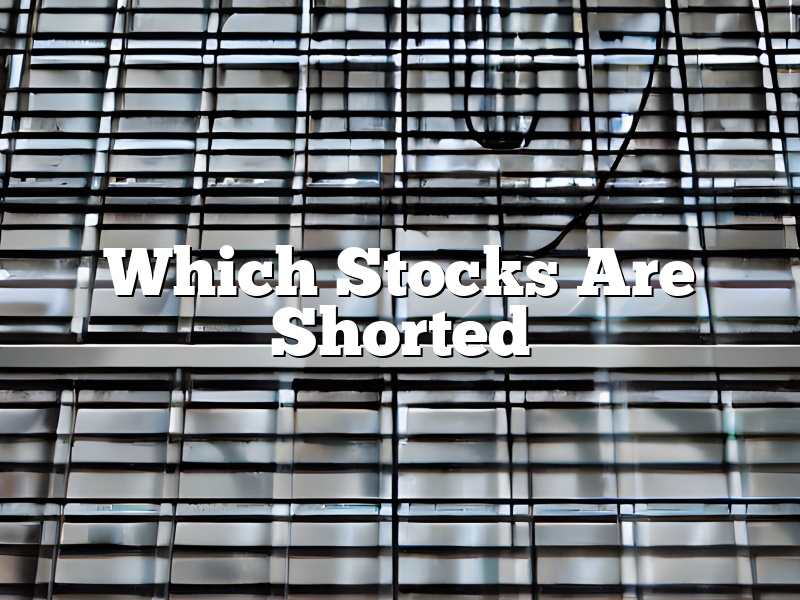 Which Stocks Are Shorted