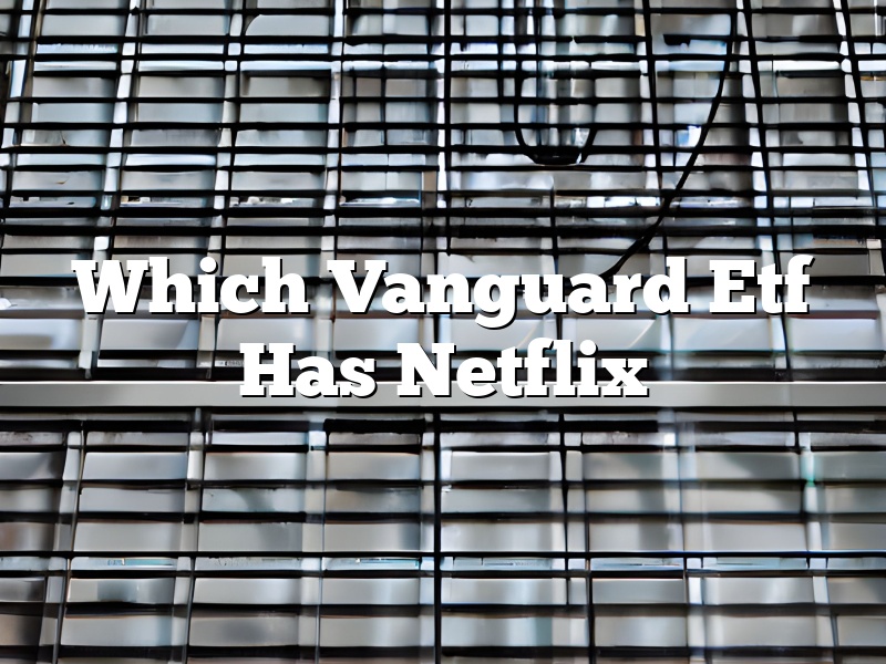 Which Vanguard Etf Has Netflix