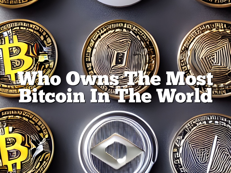 Who Owns The Most Bitcoin In The World