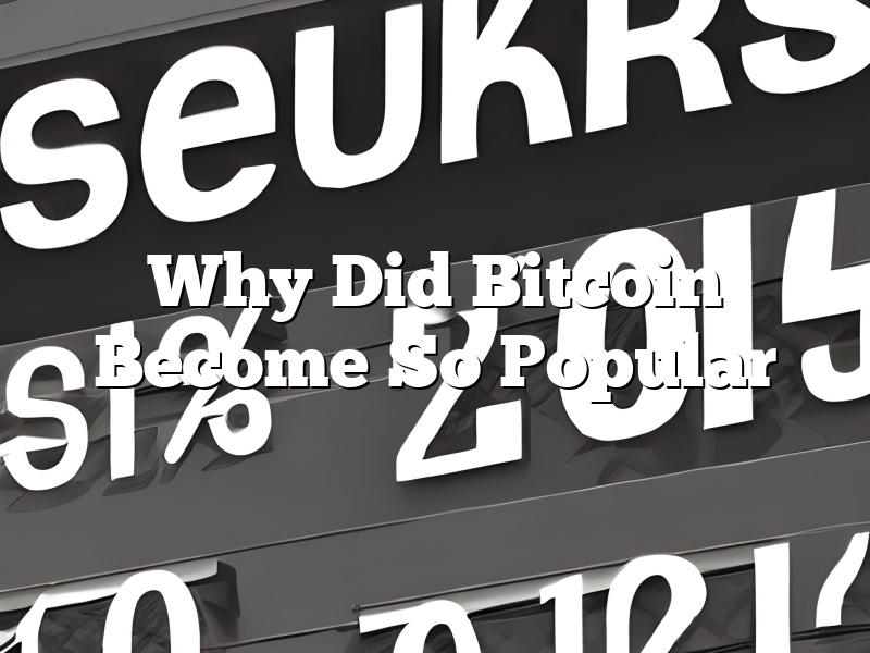 Why Did Bitcoin Become So Popular