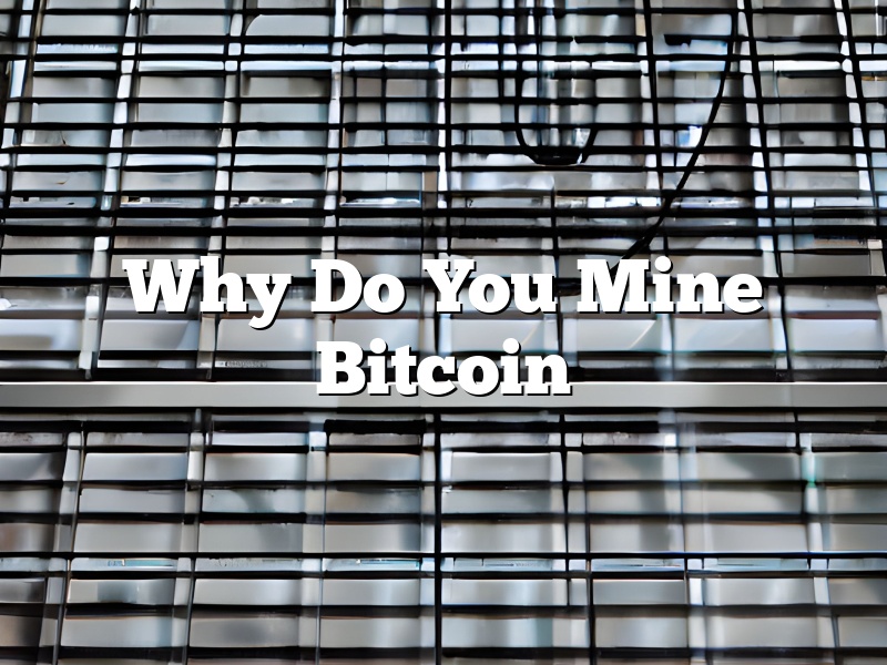 Why Do You Mine Bitcoin