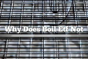 Why Does Boil Etf Not