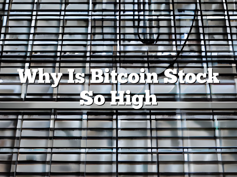 Why Is Bitcoin Stock So High