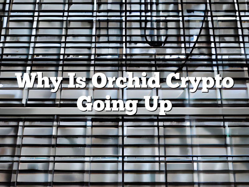 Why Is Orchid Crypto Going Up