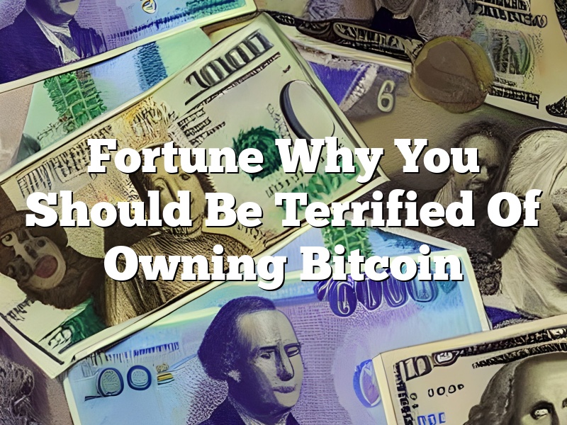 Fortune Why You Should Be Terrified Of Owning Bitcoin