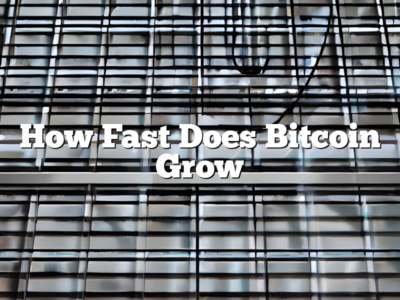 How Fast Does Bitcoin Grow