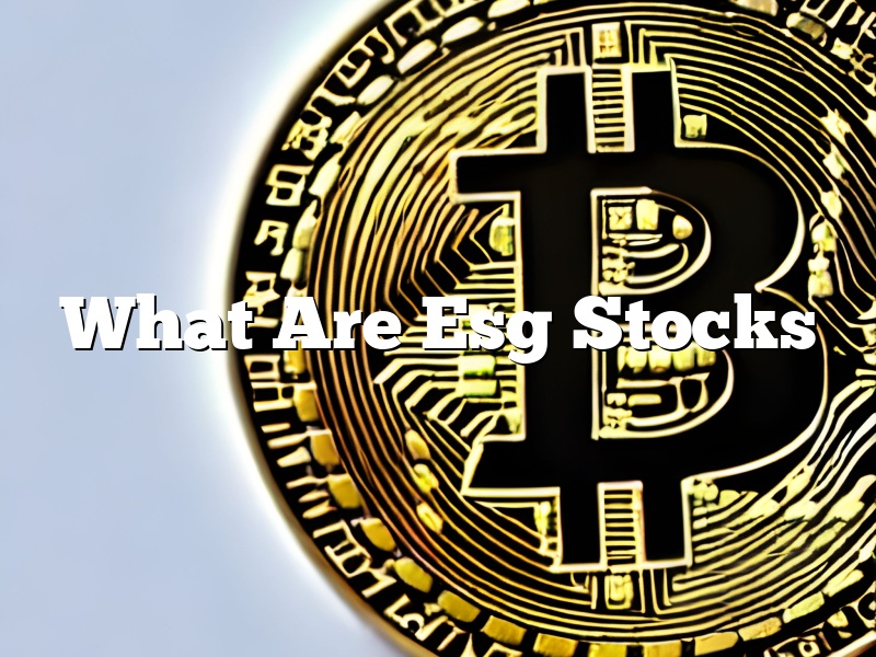 What Are Esg Stocks