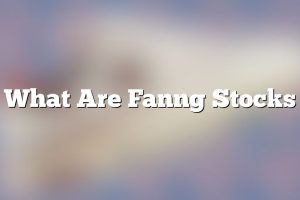 What Are Fanng Stocks