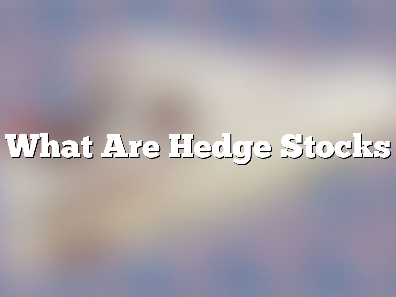 What Are Hedge Stocks