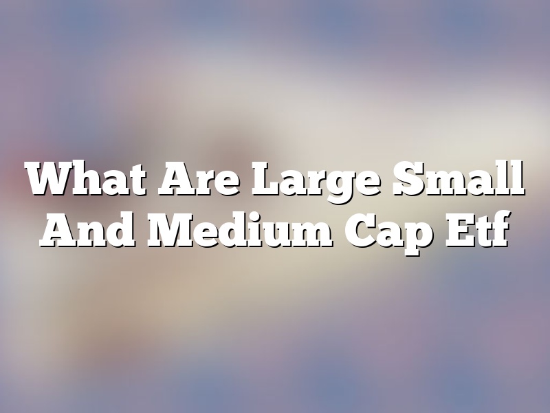 What Are Large Small And Medium Cap Etf